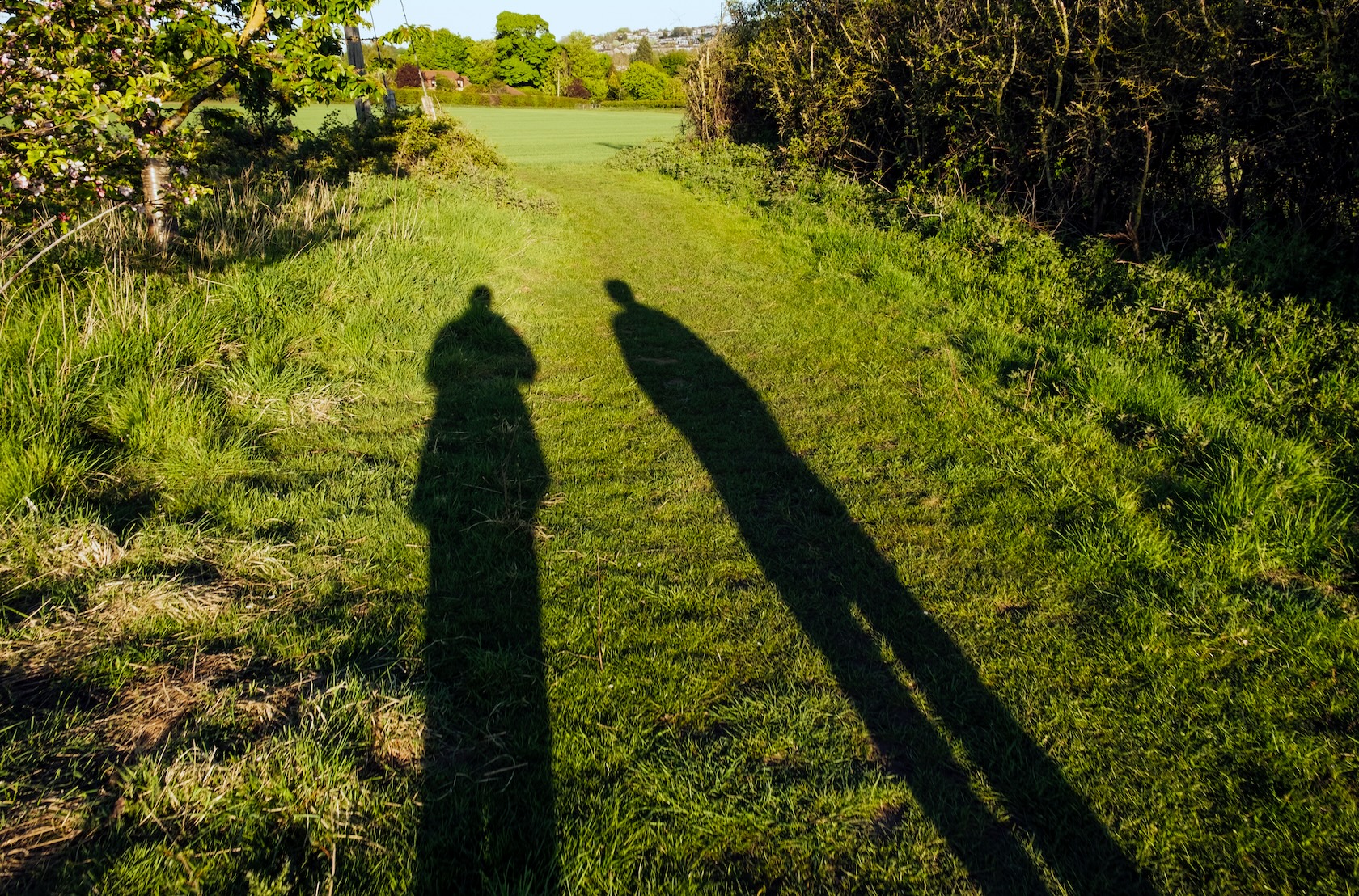 Men and Women do not Run Out of the Same Thing in Retirement